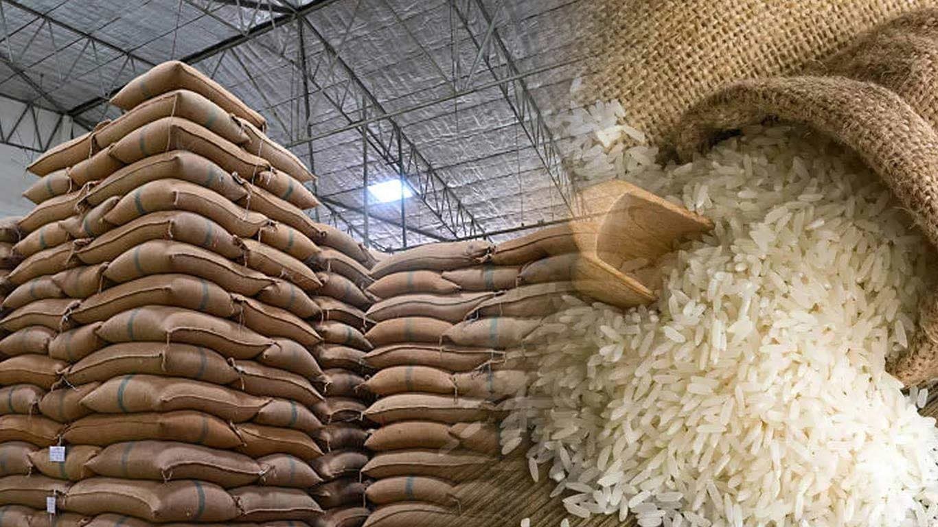 Premium Basmati and Non-Basmati Rice